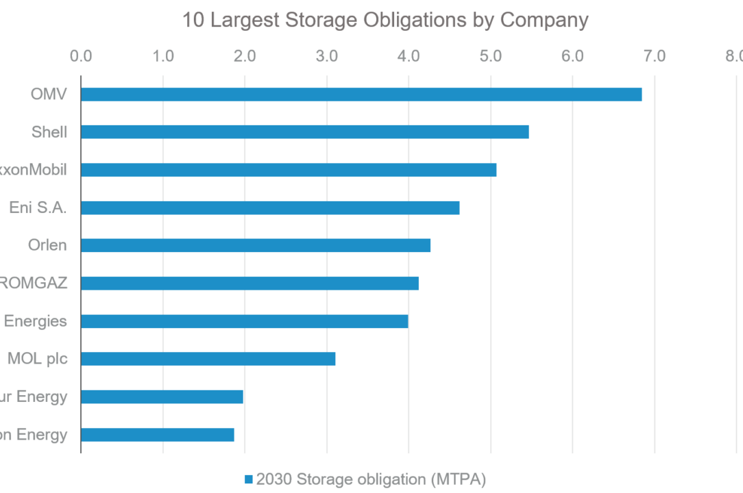 10 Largest Storage Obligations by Company